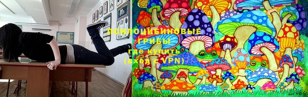 эйфоретик Аркадак