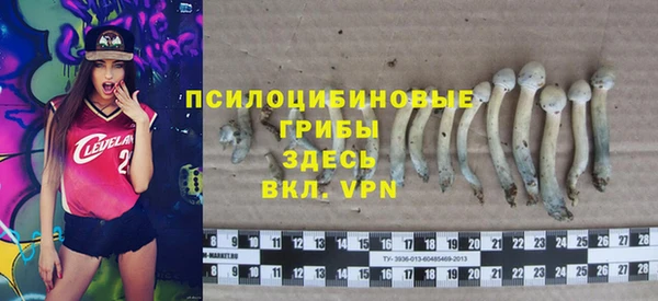 шишки Сафоново